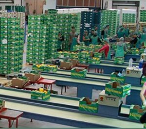 La Coop. Hortamar invierte en adecuación