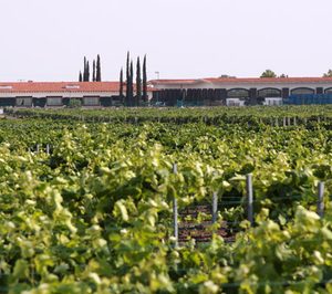 José Cuervo y Freixenet cierran un acuerdo de distribución en México