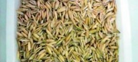 Itene participa en el proyecto Funkfibre