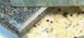 Marmolspain compra parte de otra marmolera alicantina