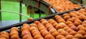La caída del precio del huevo arrastra las ventas del mercado de puesta