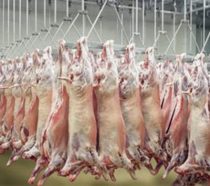 Matadero Central de Asturias paraliza su producción