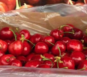 SAT Vidrio entra en el mercado español a través de Mercadona