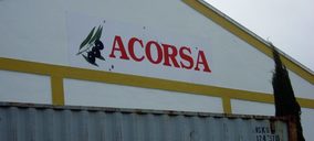 Dcoop refuerza su división de aceituna con nuevas operaciones