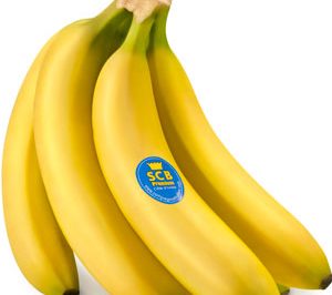 Compagnie Fruitière España Corporación, nueva denominación de Dole Food España