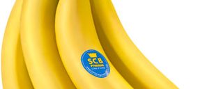 Compagnie Fruitière España Corporación, nueva denominación de Dole Food España