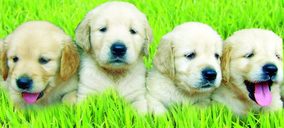 Los petfood encuentran la vía online