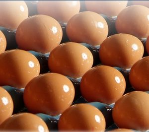 Interovo ultima la apertura de su nueva planta de piensos