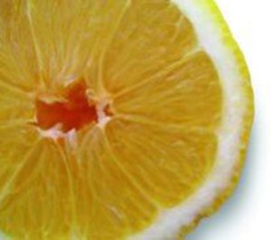 Ailimpo prevé una campaña 2014/2015 de limón normal y estable