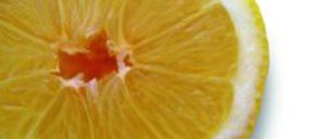 Ailimpo prevé una campaña 2014/2015 de limón normal y estable