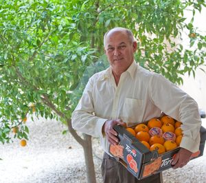 Naranjas Torres cuenta con nuevo director general