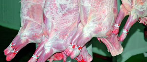 Informe 2014 del sector de carne de ovino