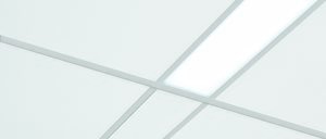 La Sidra se sigue ganando al consumidor