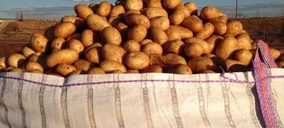 Patatas Beltrán duplica ventas