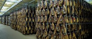 Nueva Norma de Calidad, con Extensión de Norma