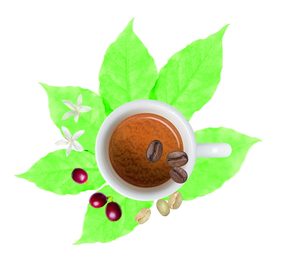 Illycaffè, reconocida por su sostenibilidad