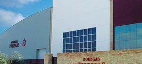 Bodegas Piqueras compra la Cooperativa Almanseña