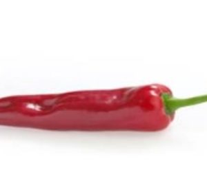 Biosabor ultima sus nuevas instalaciones