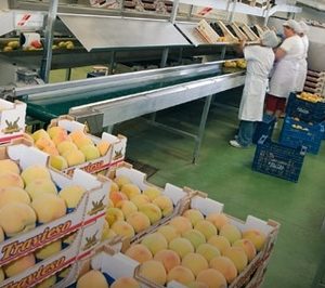 Samafru apuesta fuerte por su negocio de fruta fresca