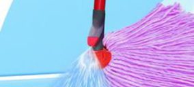 Balears Ecomón incrementa sus ventas y beneficios