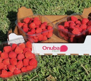 Onubafruit desarrolla iniciativas para diversificar y crecer