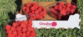 Onubafruit desarrolla iniciativas para diversificar y crecer