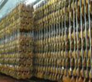 Incarlopsa vuelve a pisar el acelerador