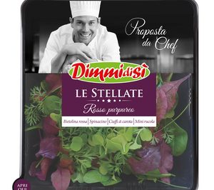 Dimmidisí prepara el lanzamiento de Le Stellate