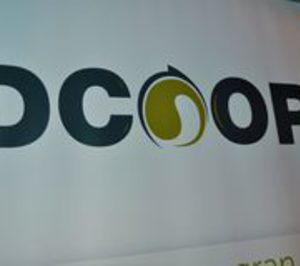 La sección de vinos de Dcoop suma 18 M€