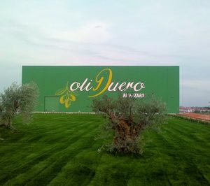 La almazara de Matarromera recibe su primera cosecha de aceitunas