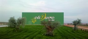 La almazara de Matarromera recibe su primera cosecha de aceitunas