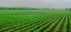 Alsur levantará una fábrica de quinoa