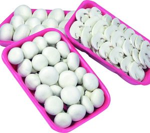 ‘Los champiñones se suman al rosa’ para apoyar la lucha contra el cáncer de mama