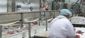 El matadero de Agroalimentaria de Teruel saldrá a la venta