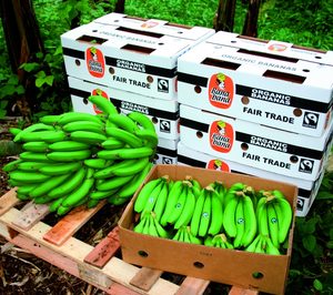 Fruta del Pacífico no supera el preconcurso e inicia proceso concursal