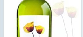 Bodegas Riojanas construirá una bodega en Rueda