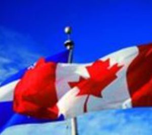 Proyectos internacionales (8-14/12/2014)