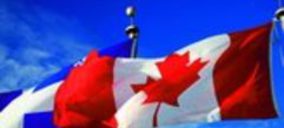 Proyectos internacionales (8-14/12/2014)