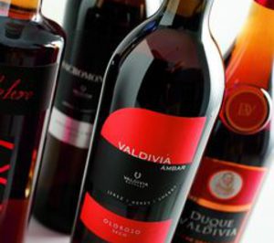 Bodegas Valdivia se venderá aisladamente o por subasta judicial
