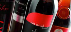 Bodegas Valdivia se venderá aisladamente o por subasta judicial