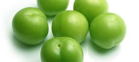 Naturcrex prevé elevar sus ventas este año