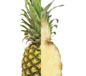 Nice Fruit y Del Monte Pacific preparan planta en Filipinas