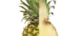 Nice Fruit y Del Monte Pacific preparan planta en Filipinas