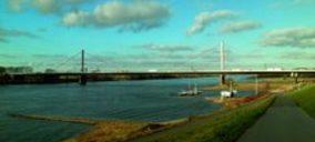 Proyectos internacionales (15-21/12/2014)