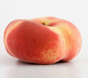 Agropecuaria de Cinca mejora variedades y maquinaria