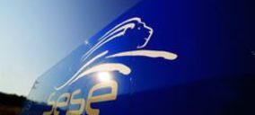 Grupo Sesé cambia la estrategia de su división de frío