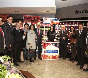 Comienza la nueva promoción de frutas de Chile en España