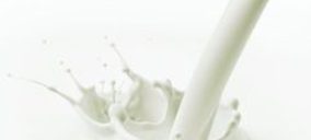 El consumo de leche se debilita