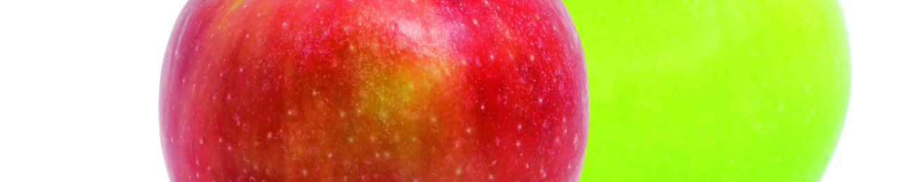 Informe 2015 del sector de manzana