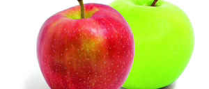 Informe 2015 del sector de manzana